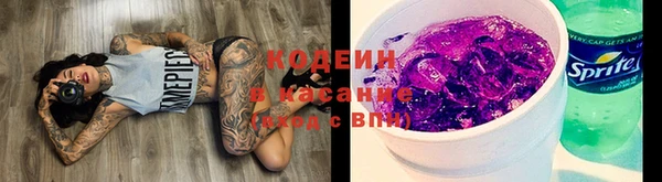 спиды Верея