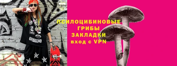 спиды Верея