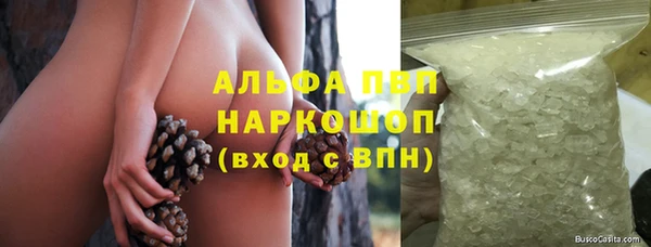 спиды Верея